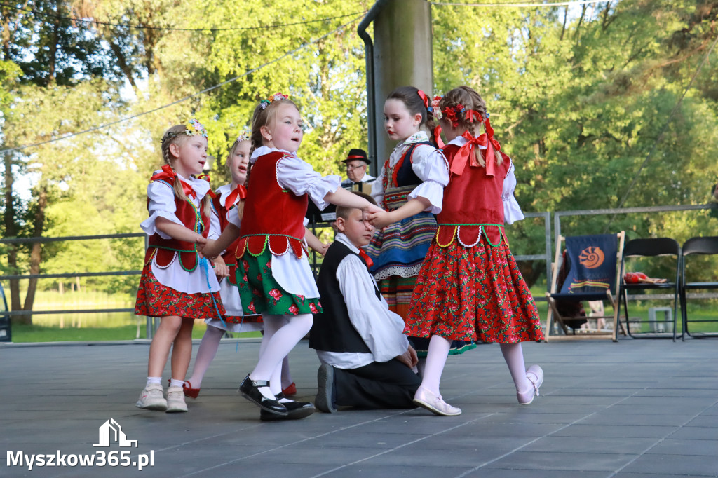 Fotorelacja I: Muzyczne Wianki w Myszkowie