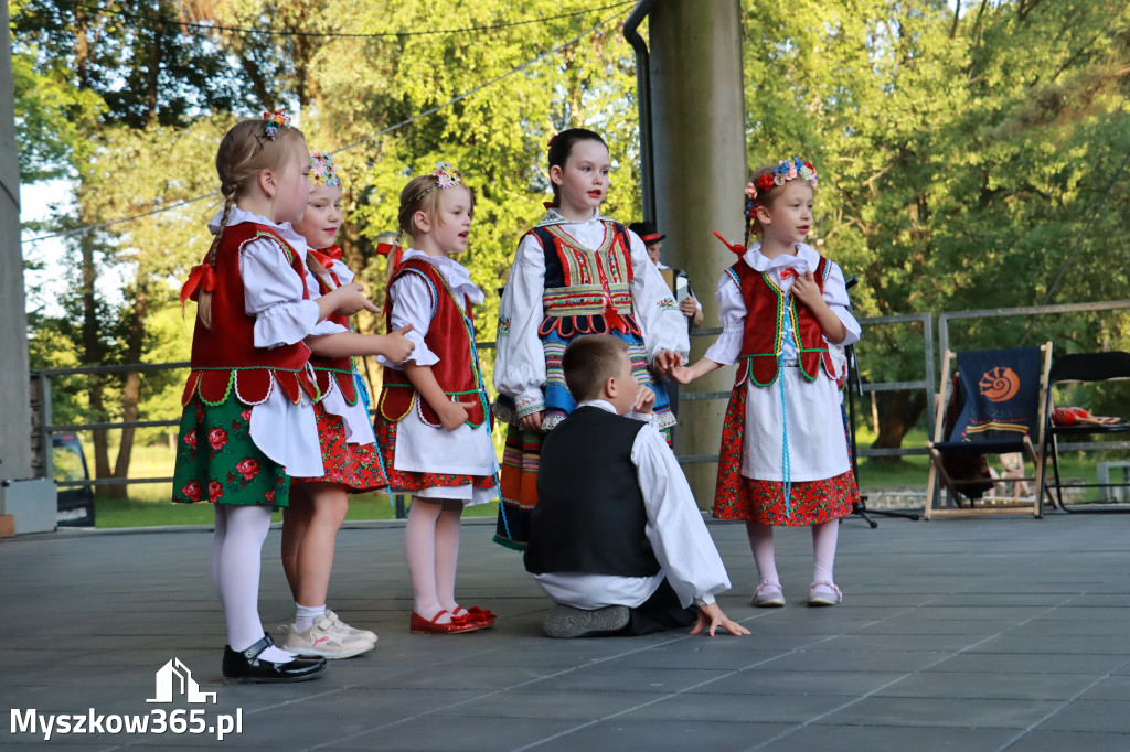 Fotorelacja I: Muzyczne Wianki w Myszkowie