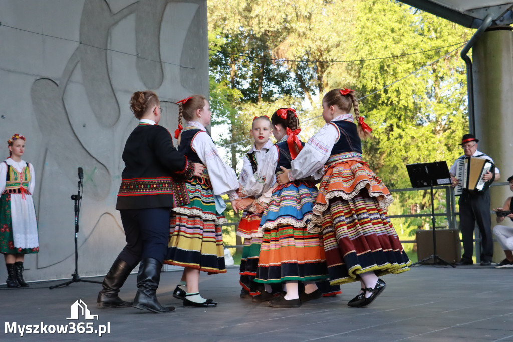 Fotorelacja I: Muzyczne Wianki w Myszkowie