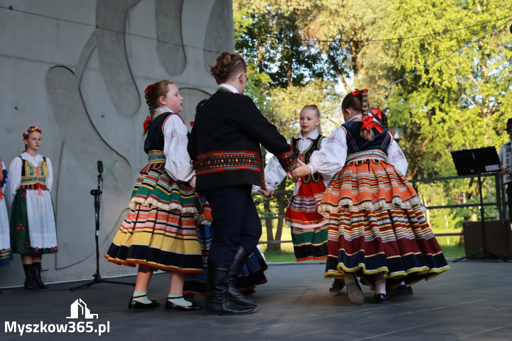 Fotorelacja I: Muzyczne Wianki w Myszkowie