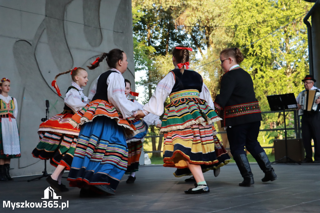 Fotorelacja I: Muzyczne Wianki w Myszkowie