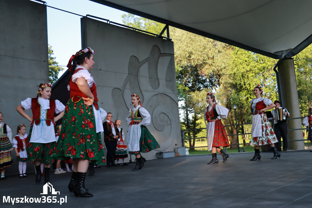 Fotorelacja I: Muzyczne Wianki w Myszkowie