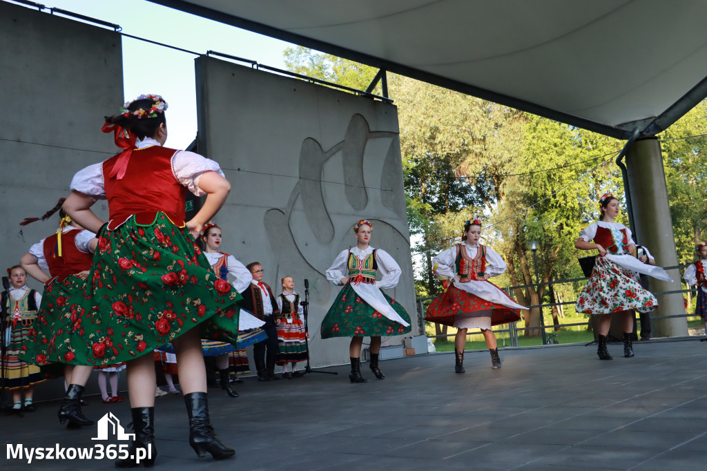 Fotorelacja I: Muzyczne Wianki w Myszkowie
