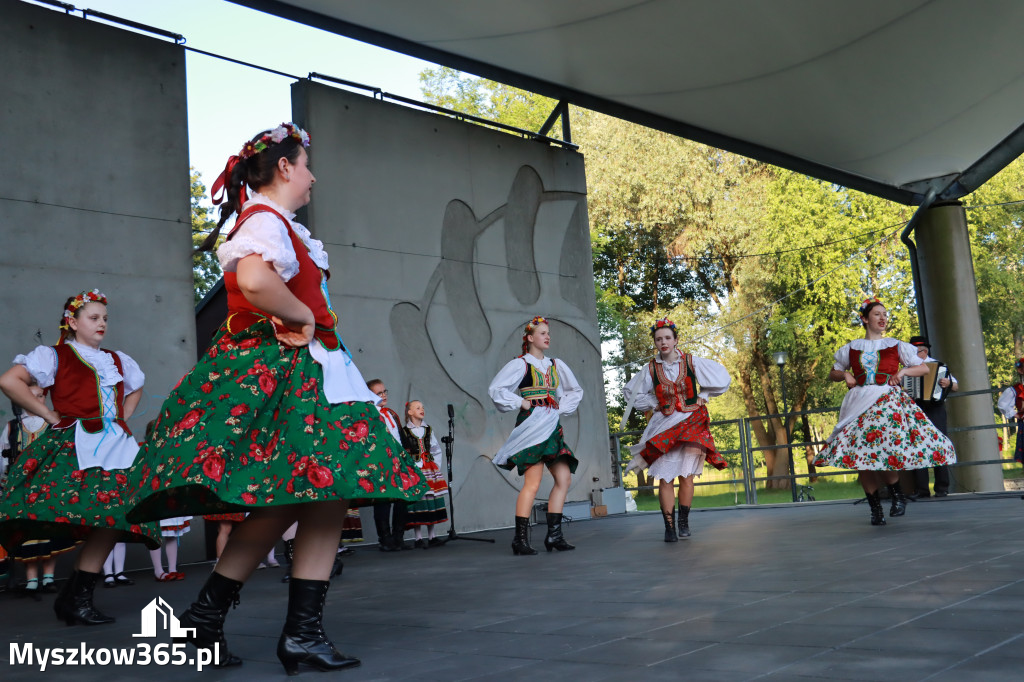 Fotorelacja I: Muzyczne Wianki w Myszkowie