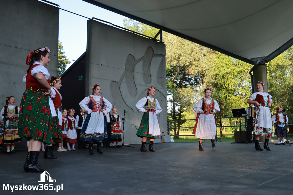 Fotorelacja I: Muzyczne Wianki w Myszkowie