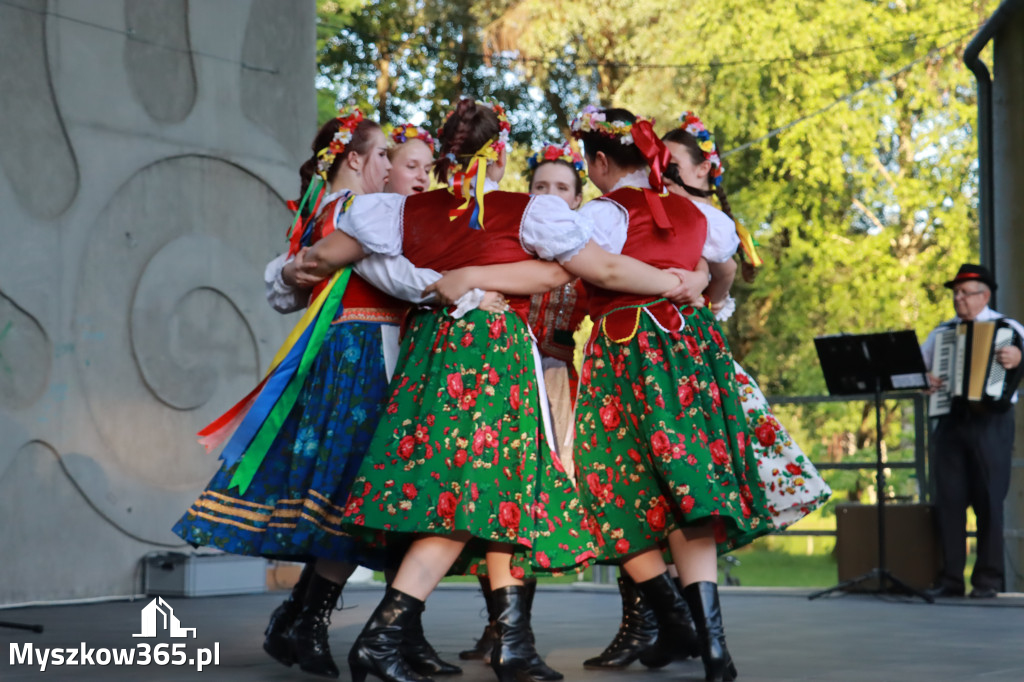 Fotorelacja I: Muzyczne Wianki w Myszkowie