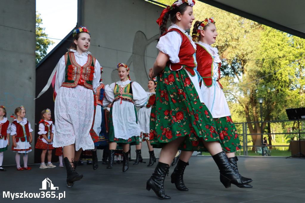 Fotorelacja I: Muzyczne Wianki w Myszkowie