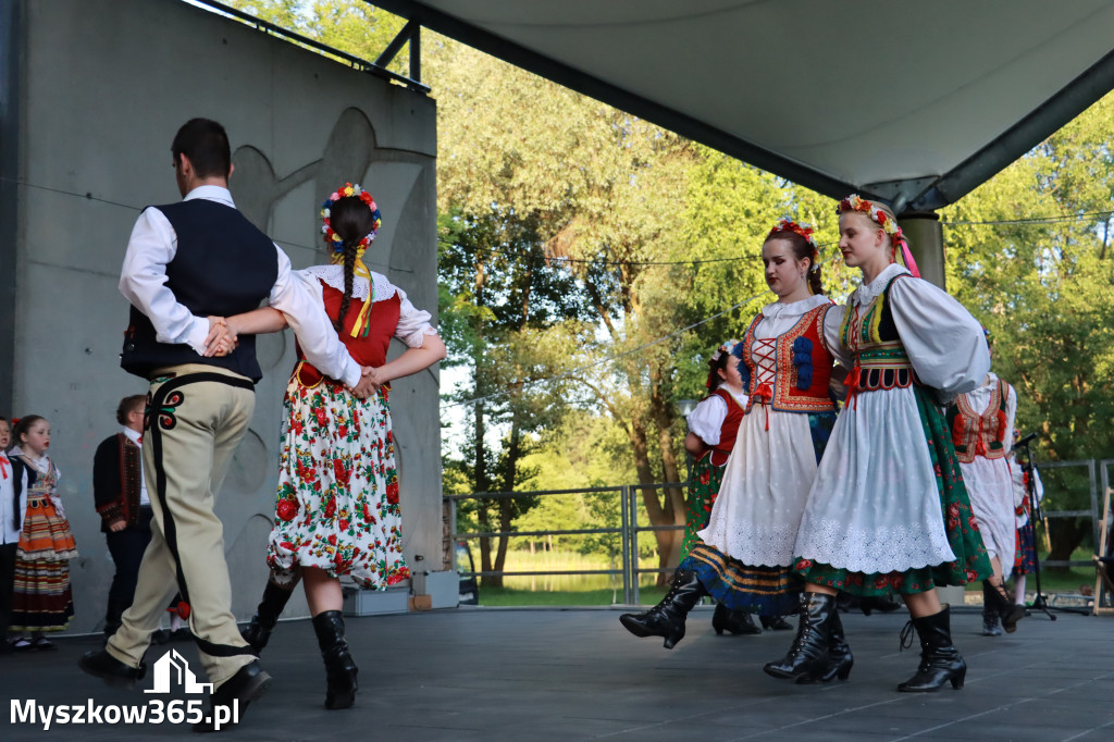 Fotorelacja I: Muzyczne Wianki w Myszkowie