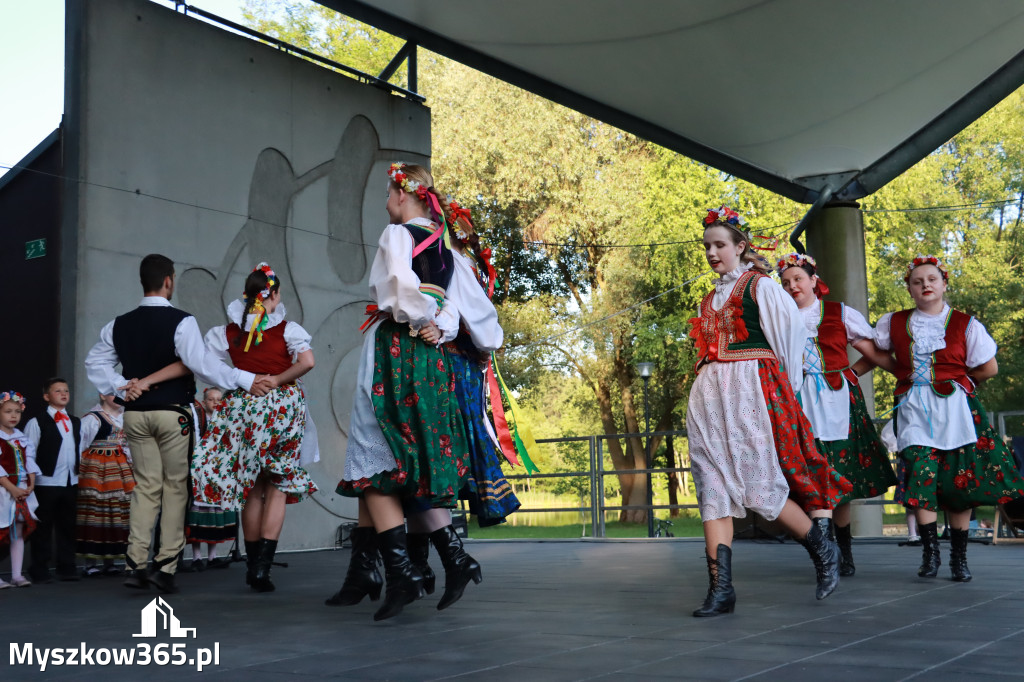 Fotorelacja I: Muzyczne Wianki w Myszkowie