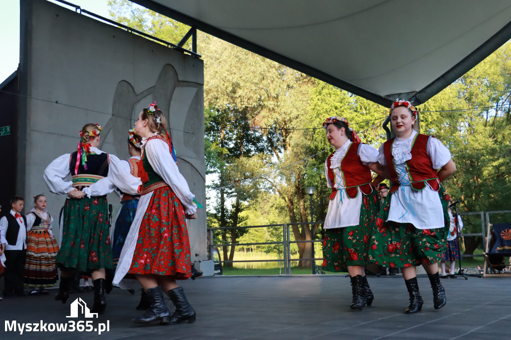 Fotorelacja I: Muzyczne Wianki w Myszkowie