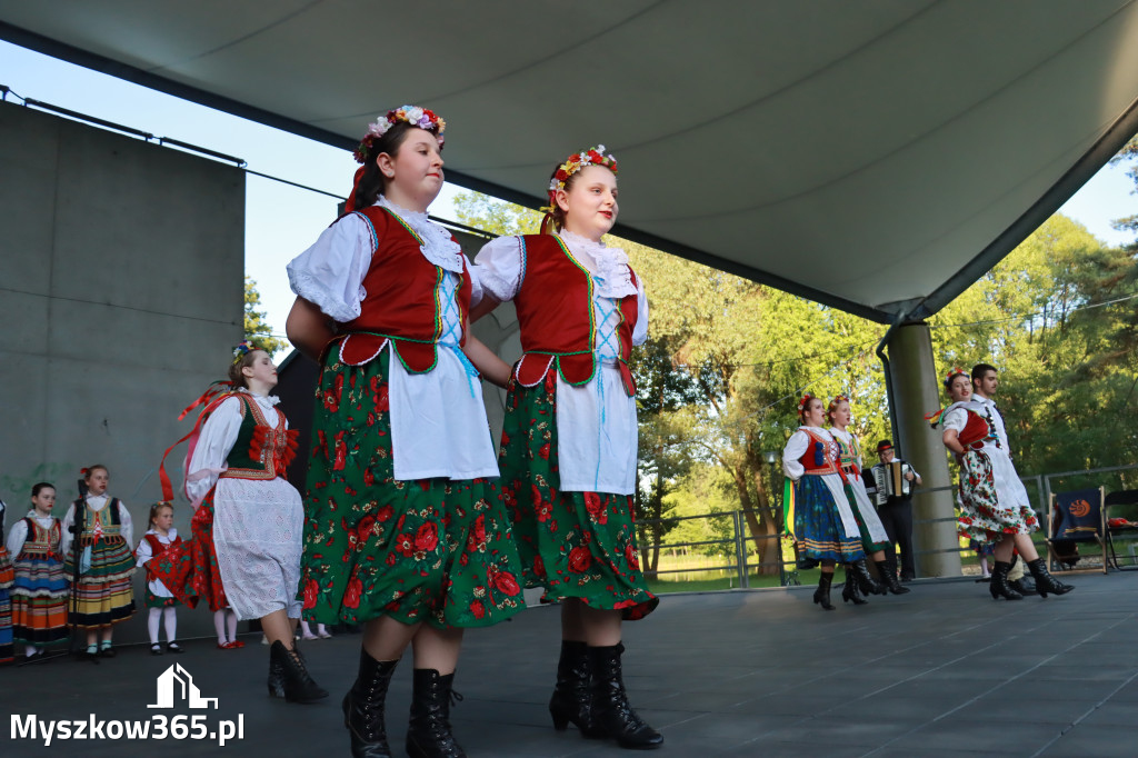 Fotorelacja I: Muzyczne Wianki w Myszkowie