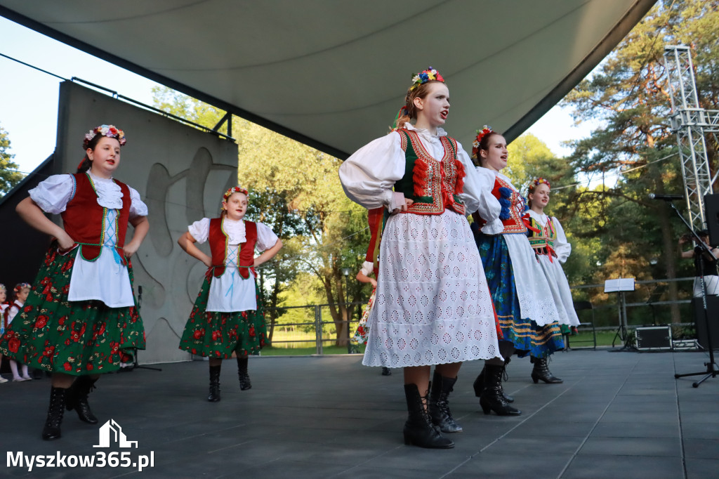 Fotorelacja I: Muzyczne Wianki w Myszkowie