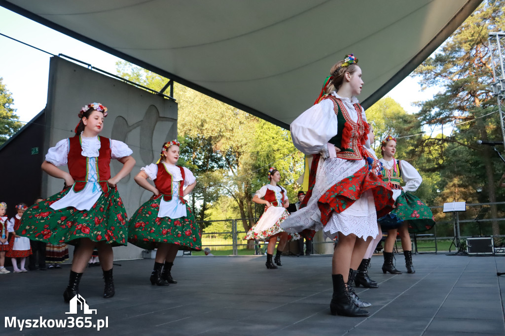 Fotorelacja I: Muzyczne Wianki w Myszkowie