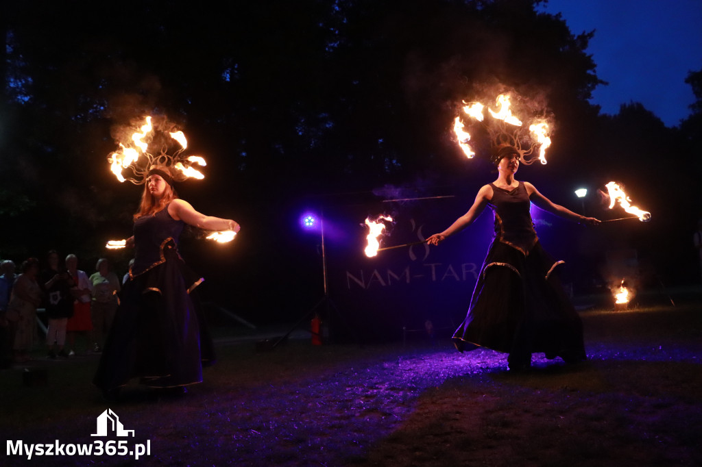 Fotorelacja II: Muzyczne Wianki w Myszkowie - FIRESHOW – Teatr ognia NAM-TARA