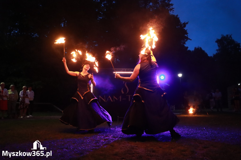 Fotorelacja II: Muzyczne Wianki w Myszkowie - FIRESHOW – Teatr ognia NAM-TARA