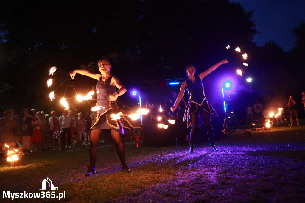 Fotorelacja II: Muzyczne Wianki w Myszkowie - FIRESHOW – Teatr ognia NAM-TARA