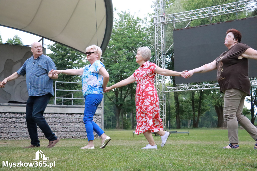 Fotorelacja: Pohulanka na Pohulance w Myszkowie