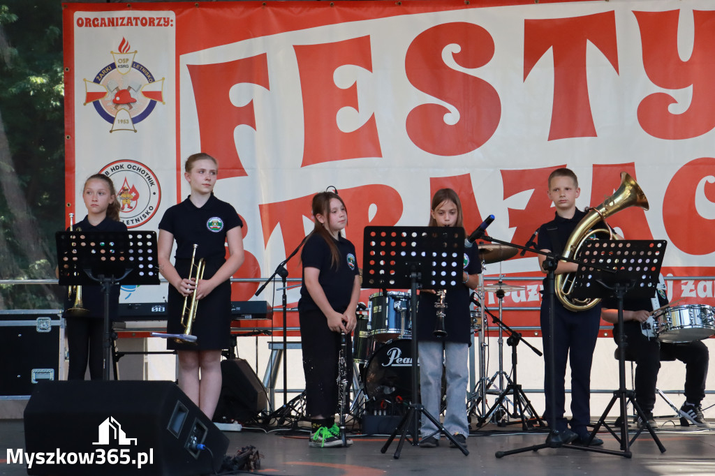 Fotorelacja: Festyn Strażacki w Żarkach Letnisku