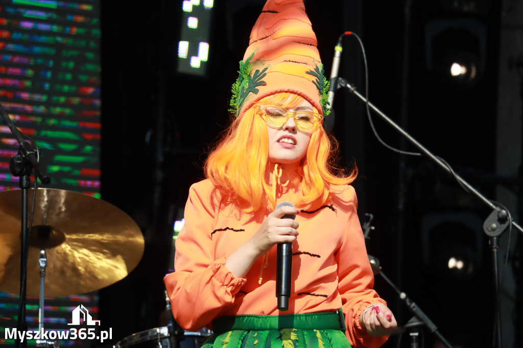 Fotorelacja IV: 75 lat Miasta Myszkowa - Koncert zespołu Stan Krytyczny