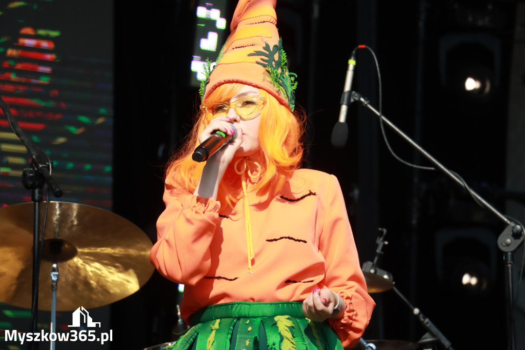 Fotorelacja IV: 75 lat Miasta Myszkowa - Koncert zespołu Stan Krytyczny