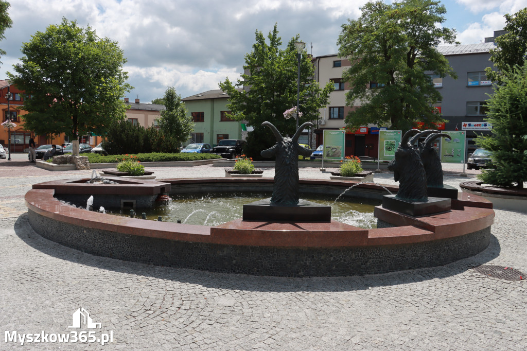 Fotorelacja: Umieszczenie w cokole pomnika Krystyna z Koziegłów kapsuły czasu