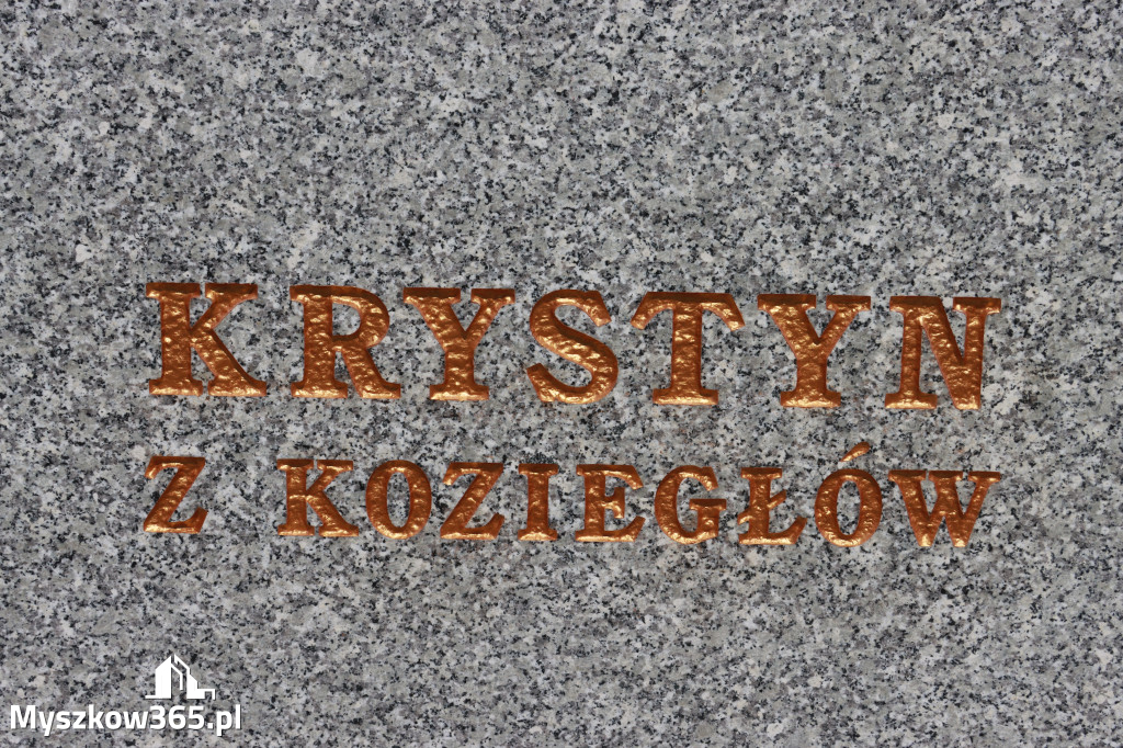 Fotorelacja: Umieszczenie w cokole pomnika Krystyna z Koziegłów kapsuły czasu