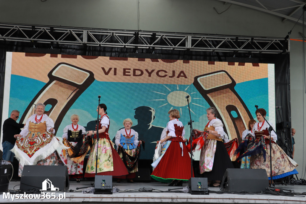 Fotorelacja I: Koziegłowy w rytmach tańca