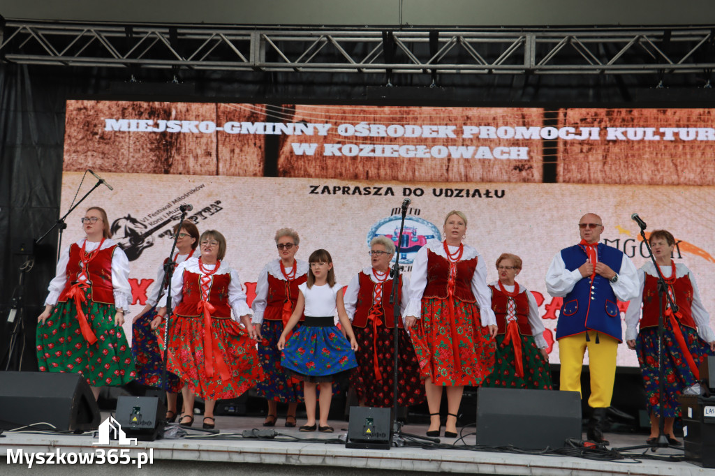 Fotorelacja I: Koziegłowy w rytmach tańca