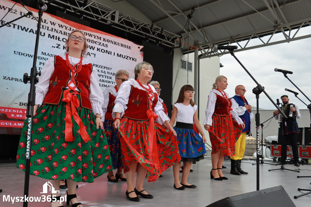 Fotorelacja I: Koziegłowy w rytmach tańca