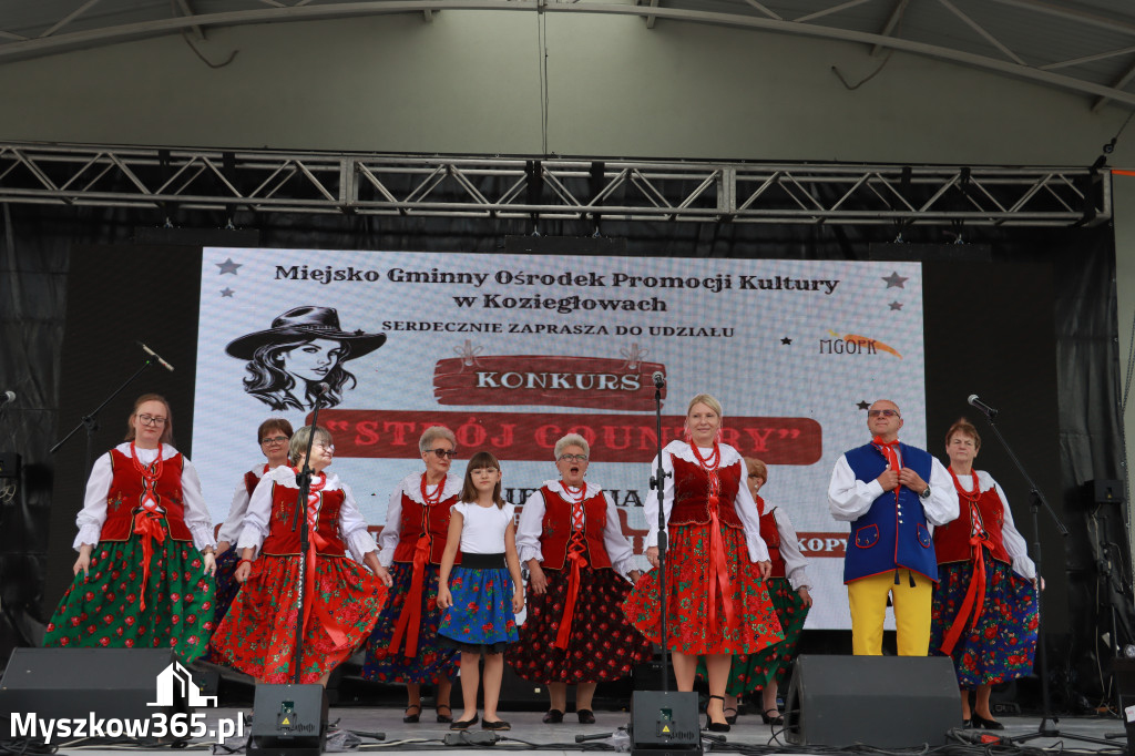 Fotorelacja I: Koziegłowy w rytmach tańca