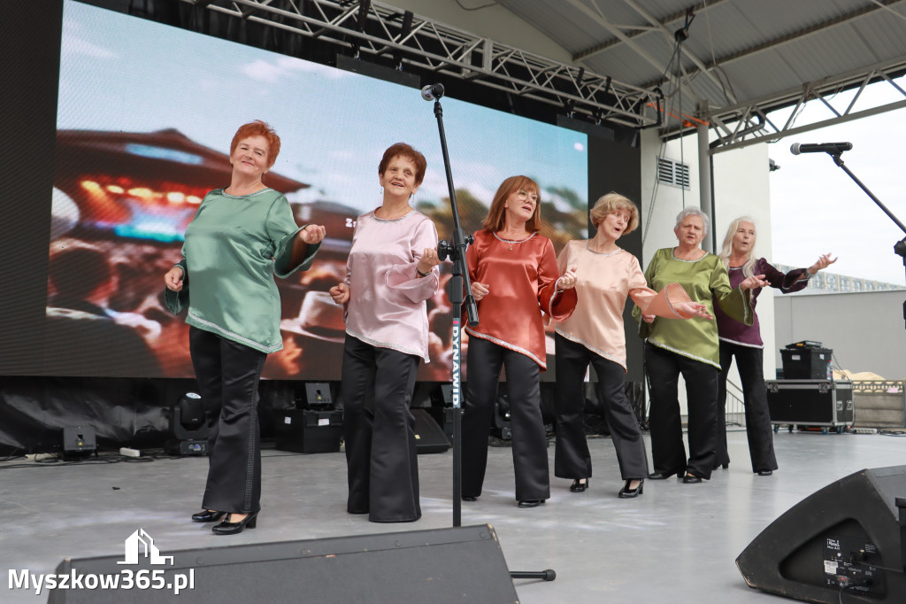 Fotorelacja I: Koziegłowy w rytmach tańca