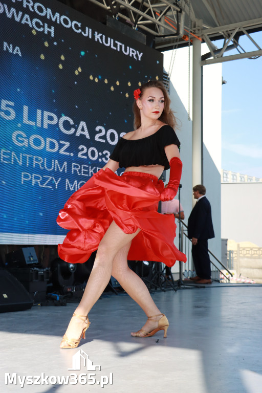 Fotorelacja II: Koziegłowy w rytmach tańca