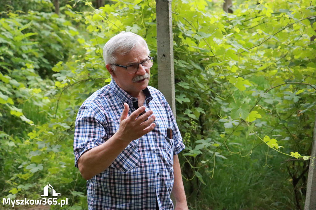 Fotorelacja: Rajska Sobota z Winnicą Rajską 2025