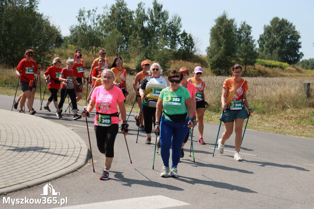 Fotorelacja III: Bieg z Kopyta. Festiwal z Kopyta w Gniazdowie Gmina Koziegłowy