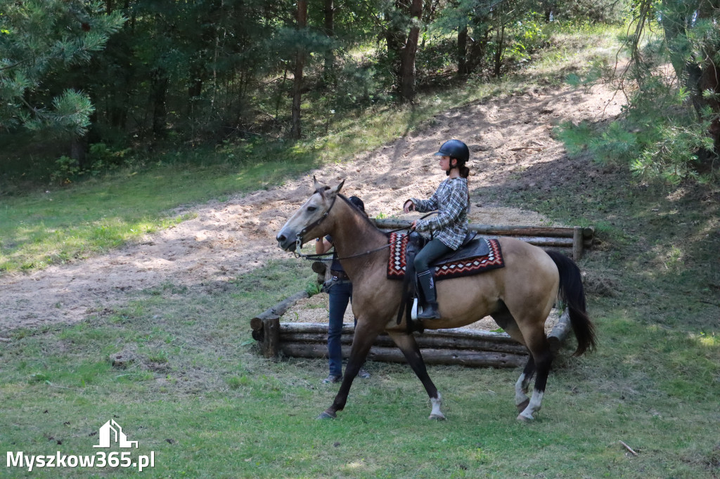 Fotorelacja V: Sprawnościowy Konkurs Jeździecki - Festiwal z Kopyta w Gniazdowie