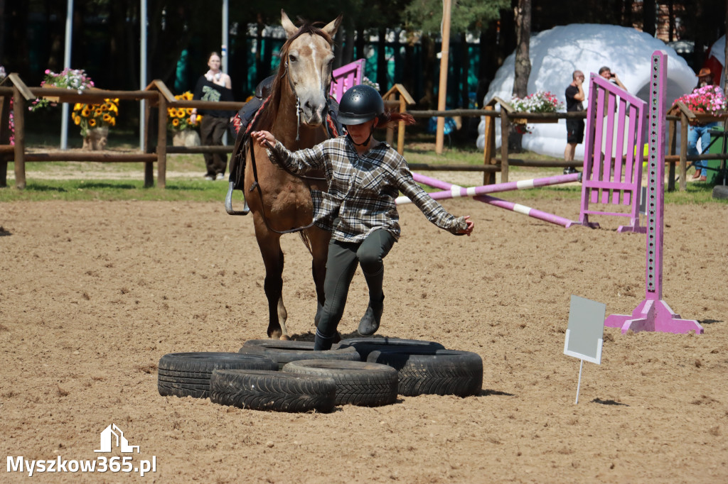 Fotorelacja V: Sprawnościowy Konkurs Jeździecki - Festiwal z Kopyta w Gniazdowie
