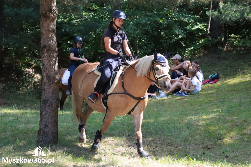 Fotorelacja V: Sprawnościowy Konkurs Jeździecki - Festiwal z Kopyta w Gniazdowie