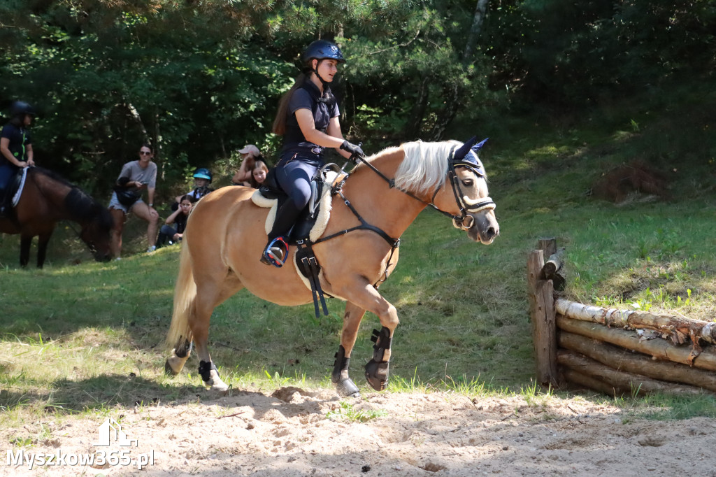 Fotorelacja V: Sprawnościowy Konkurs Jeździecki - Festiwal z Kopyta w Gniazdowie
