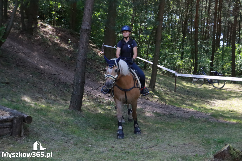 Fotorelacja V: Sprawnościowy Konkurs Jeździecki - Festiwal z Kopyta w Gniazdowie