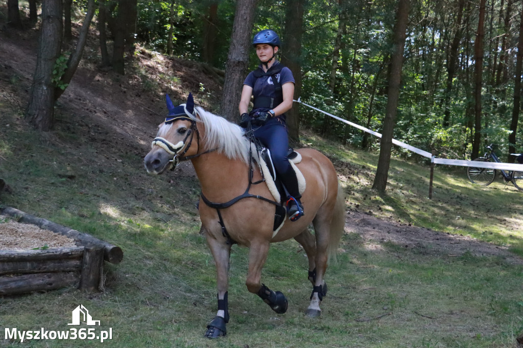 Fotorelacja V: Sprawnościowy Konkurs Jeździecki - Festiwal z Kopyta w Gniazdowie