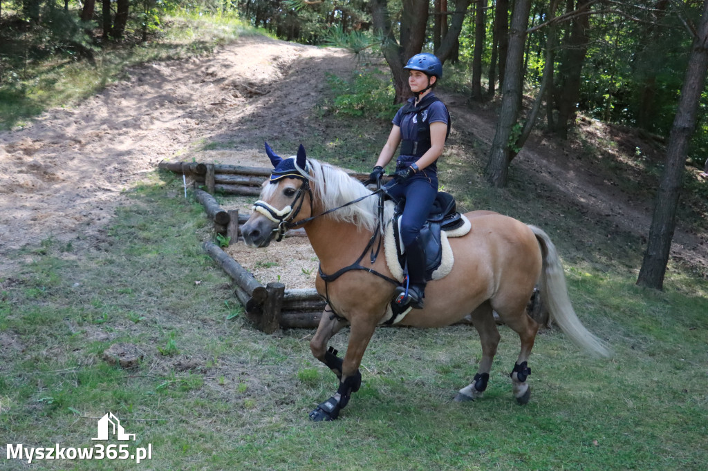 Fotorelacja V: Sprawnościowy Konkurs Jeździecki - Festiwal z Kopyta w Gniazdowie