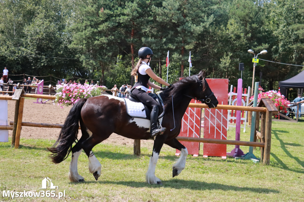 Fotorelacja V: Sprawnościowy Konkurs Jeździecki - Festiwal z Kopyta w Gniazdowie