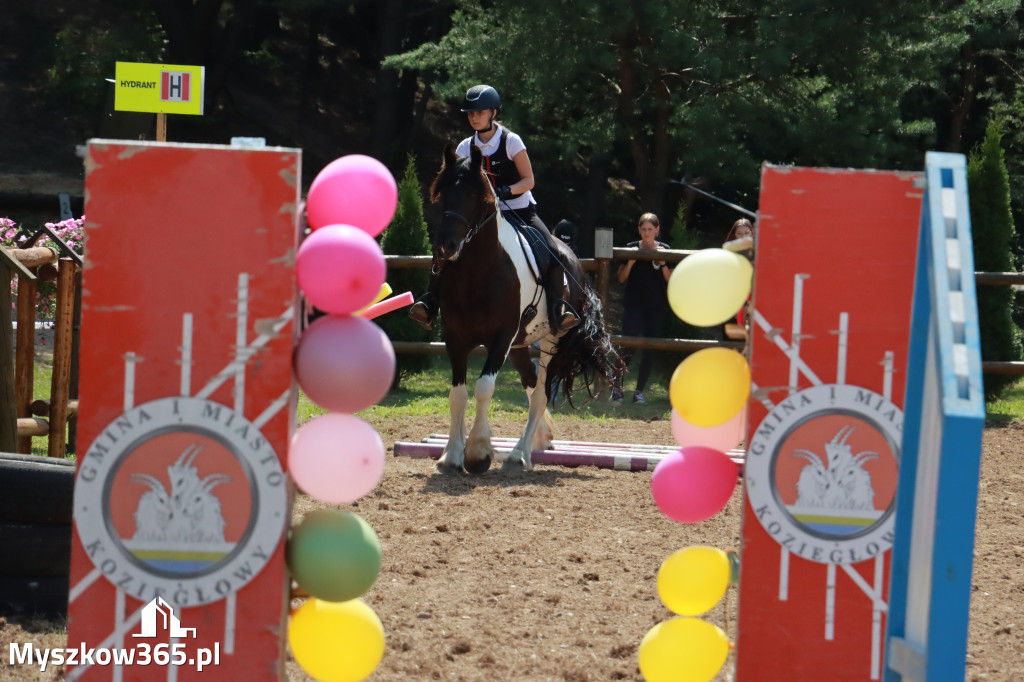 Fotorelacja V: Sprawnościowy Konkurs Jeździecki - Festiwal z Kopyta w Gniazdowie