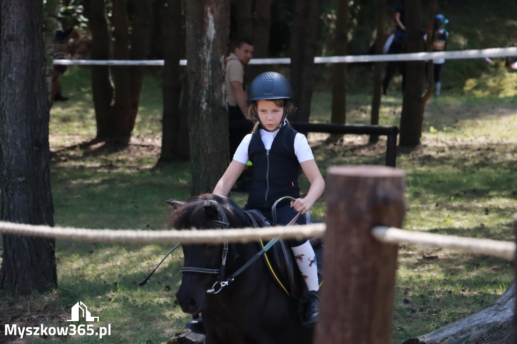 Fotorelacja V: Sprawnościowy Konkurs Jeździecki - Festiwal z Kopyta w Gniazdowie