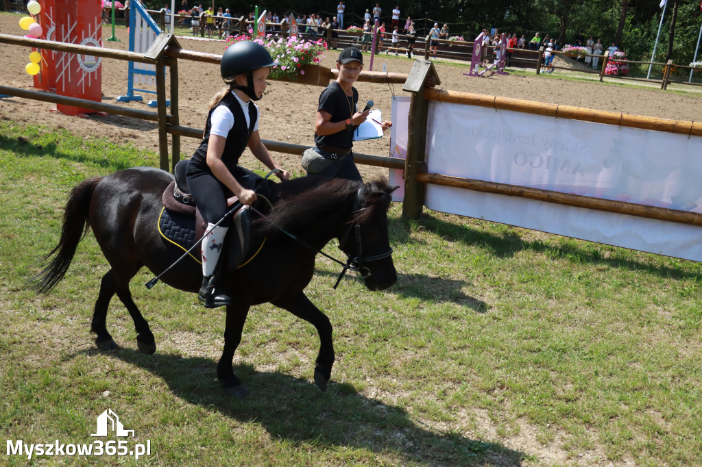 Fotorelacja V: Sprawnościowy Konkurs Jeździecki - Festiwal z Kopyta w Gniazdowie