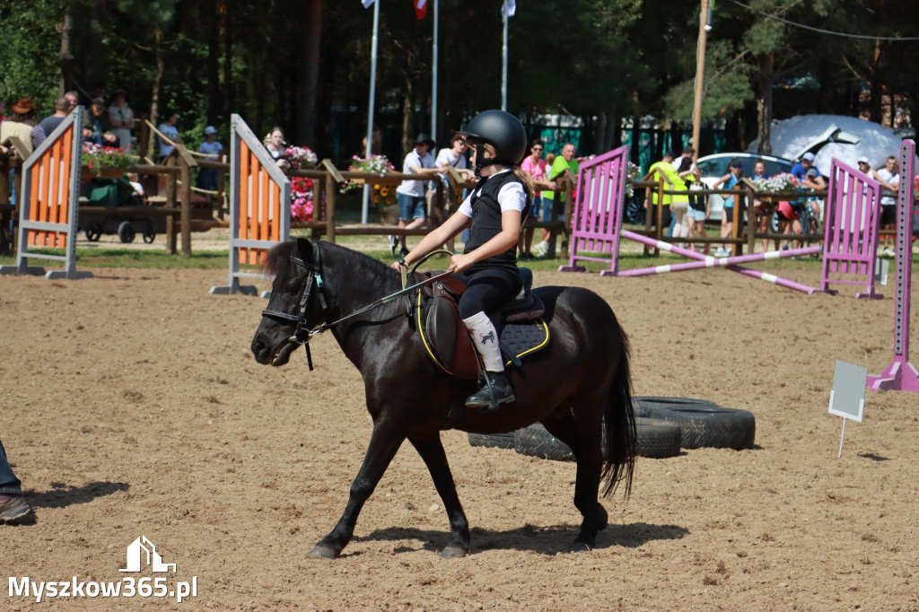 Fotorelacja V: Sprawnościowy Konkurs Jeździecki - Festiwal z Kopyta w Gniazdowie