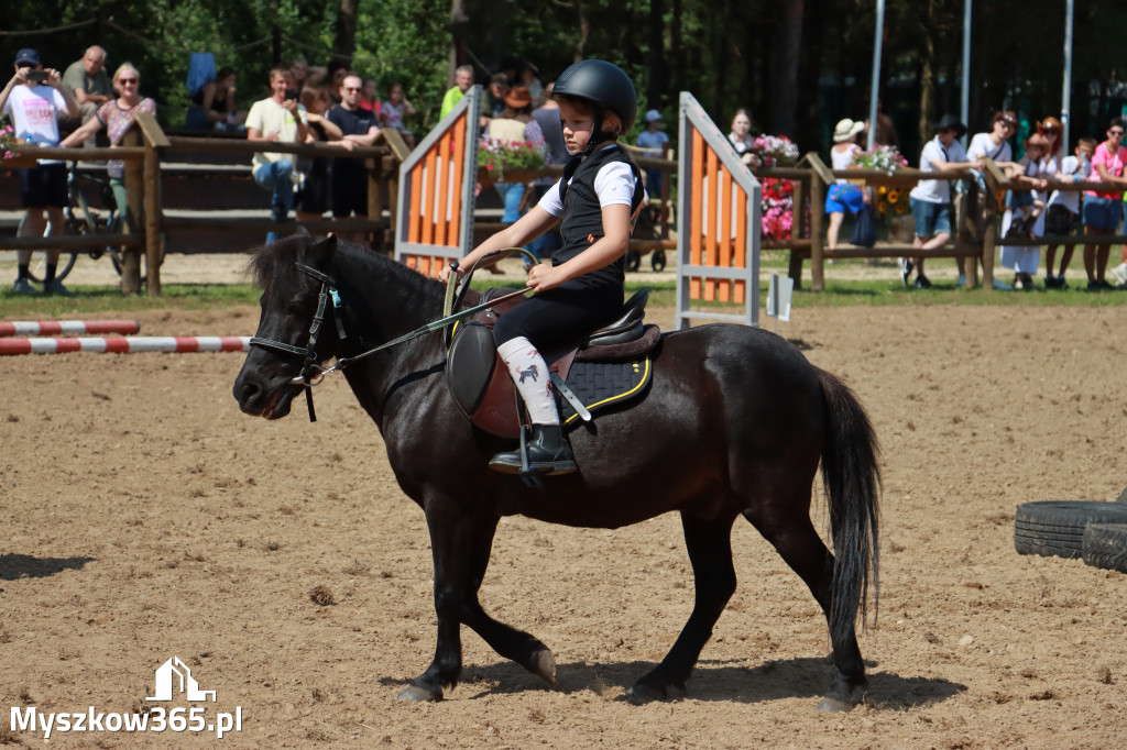 Fotorelacja V: Sprawnościowy Konkurs Jeździecki - Festiwal z Kopyta w Gniazdowie
