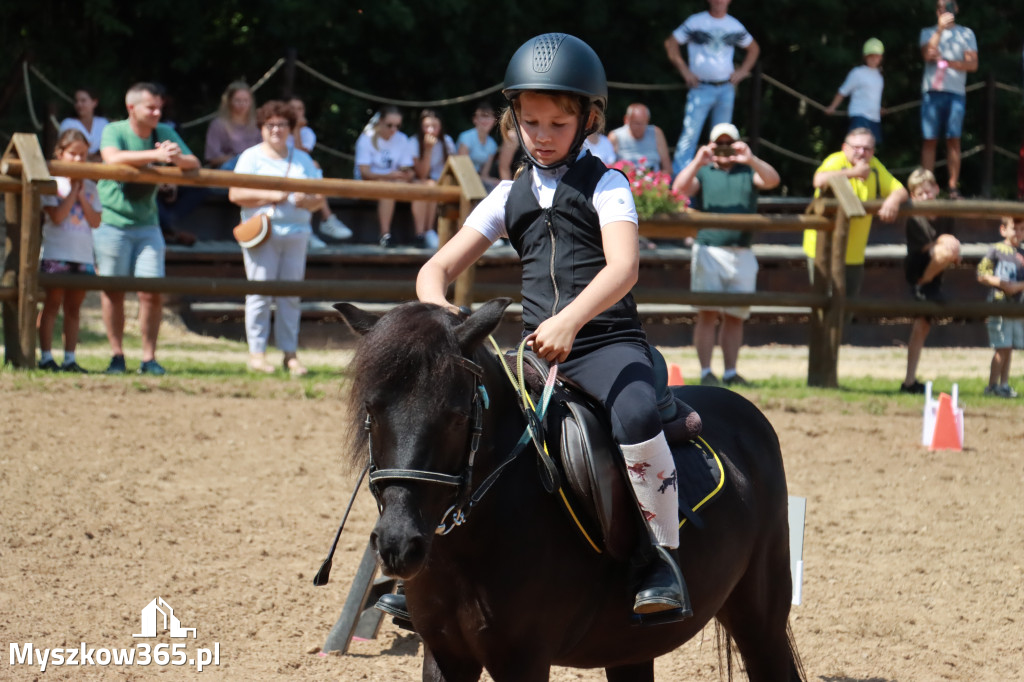 Fotorelacja V: Sprawnościowy Konkurs Jeździecki - Festiwal z Kopyta w Gniazdowie