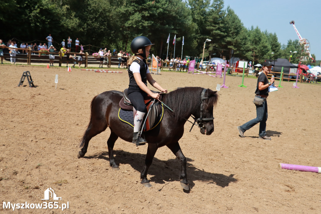Fotorelacja V: Sprawnościowy Konkurs Jeździecki - Festiwal z Kopyta w Gniazdowie