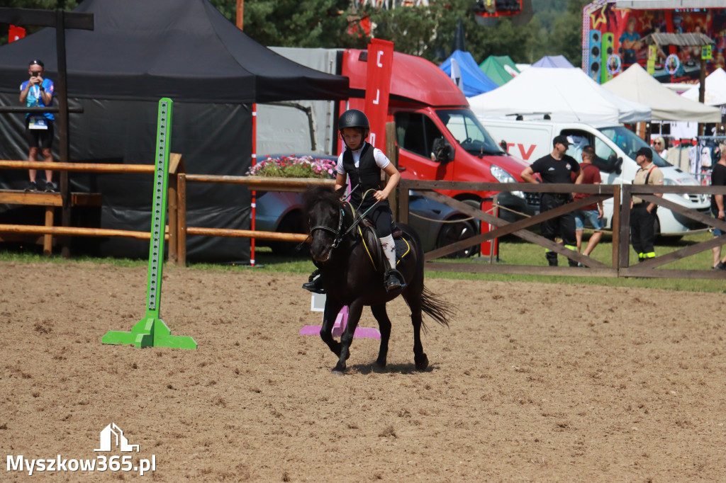 Fotorelacja V: Sprawnościowy Konkurs Jeździecki - Festiwal z Kopyta w Gniazdowie